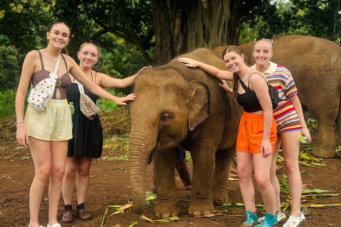 Chiang Mai: Elephant Sanctuary & Thai Cooking Workshop Meeting Point In Town