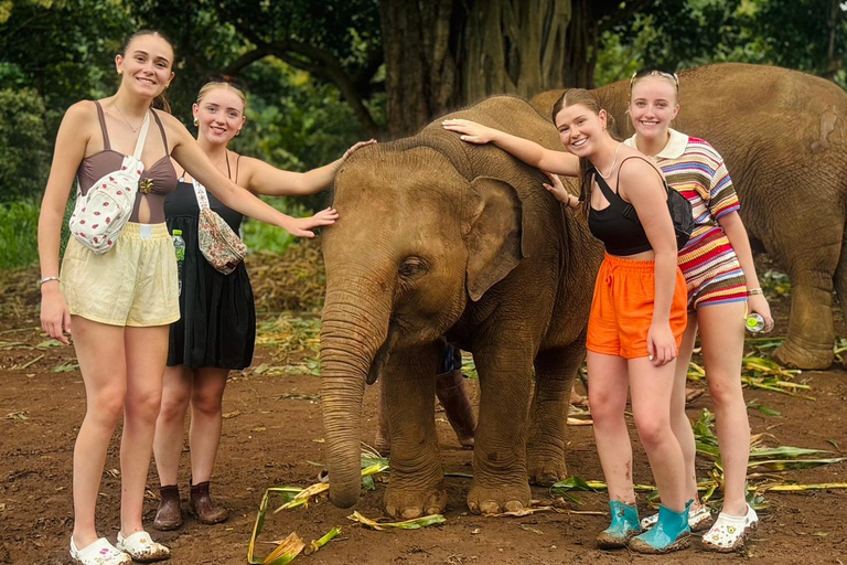 Chiang Mai: Elephant Sanctuary & Thai Cooking Workshop Meeting Point In Town