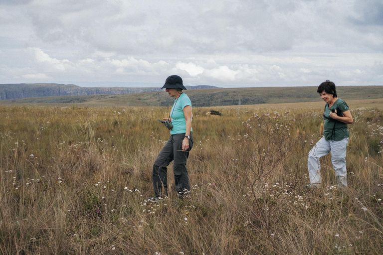From São Paulo: 5-Day Serra da Canastra Wildlife Safari
