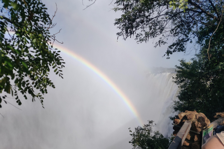 Livingstone: Victoria Falls Bungee Jump & Game Drive