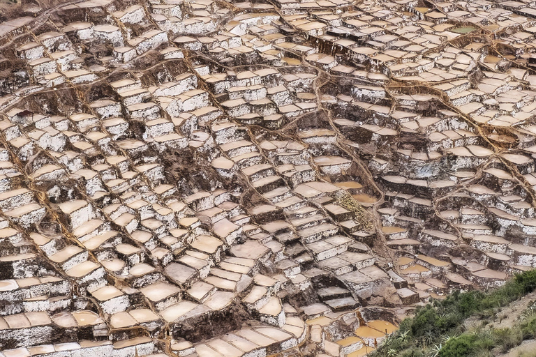 Depuis Cusco : Vallée Sacrée Moray, Pisac et Mines de Sel