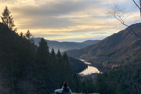 Bergen: Guided Nature Walk with Optional Floating Sauna Espanol