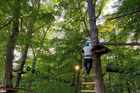 Kelkheim: Outdoor climbing experience in the forest ropes course with circuit and zip lines