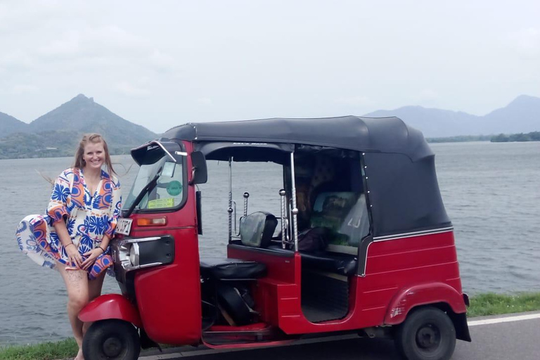 Kandy: Sigiriya or Pidurangala & Dambulla Day Tour by Van