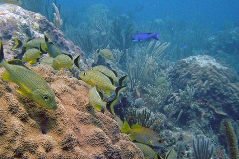 Punta Cana: Submarine Scooter and Snorkeling Tour