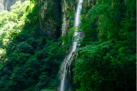 Zhangjiajie Grand Canyon, Glass Bridge with 5 Adventures Guide for other languages