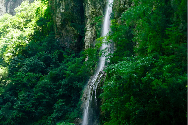 Zhangjiajie Grand Canyon, Glass Bridge with 5 Adventures Guide for other languages