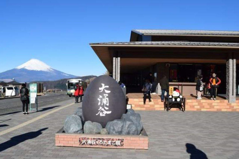 Berg Fuji und Hakone Ganztagestour private Tour