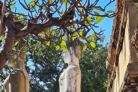 Lugar declarado patrimonio de la humanidad por la UNESCO: tour privado por AyutthayaTour por Ayutthaya + guía de habla inglesa