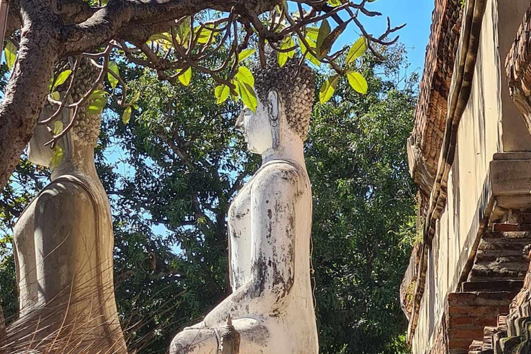 Lugar declarado patrimonio de la humanidad por la UNESCO: tour privado por AyutthayaTour por Ayutthaya + guía de habla inglesa