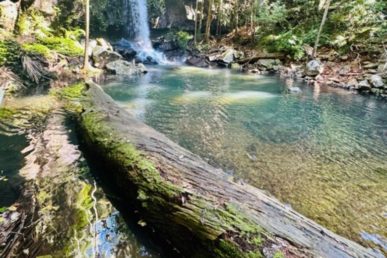 Brisbane: Tamborine Berg &amp; Sterrenkijken Tour