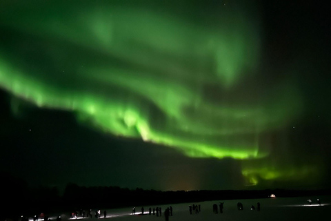 Rovaniemi: Northern Lights Hunters. Aurora + BBQ