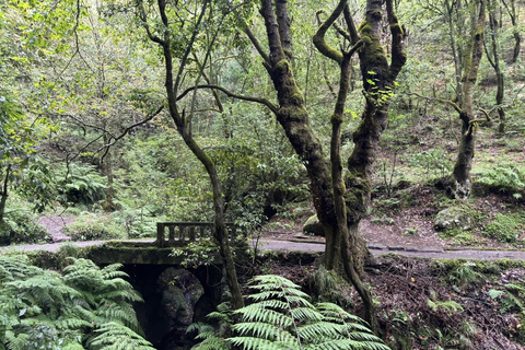 Alba di Pico Areeiro + Scala del Paradiso + Levada Balcões