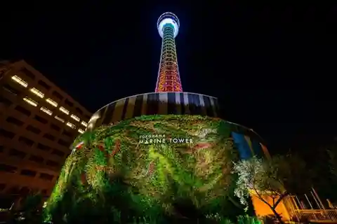 横浜：マリンタワー展望フロアチケット