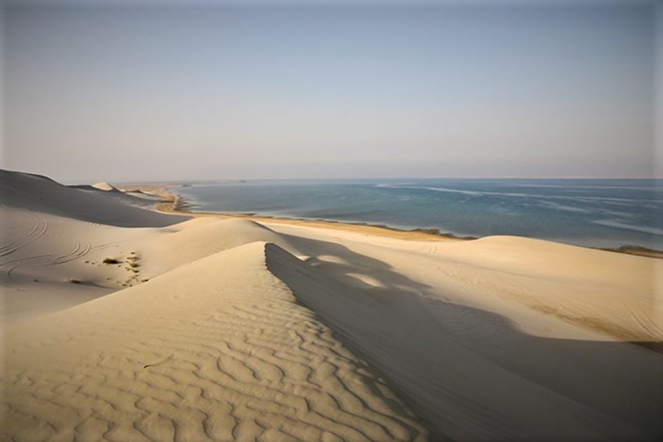 Doha: Desert Safari Dune Bashing, Sandboarding, & Camel Ride | GetYourGuide