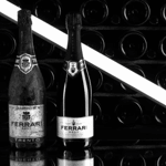 Trento: Tour della cantina Ferrari e pranzo locale vicino alle Dolomiti