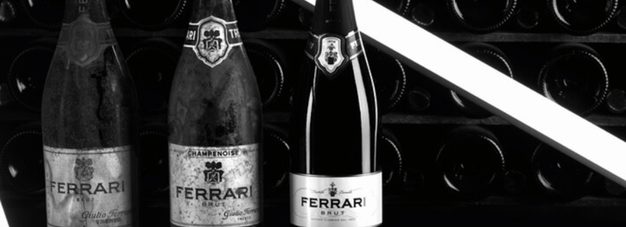 Trente : Visite d'un vignoble Ferrari et déjeuner local près des Dolomites