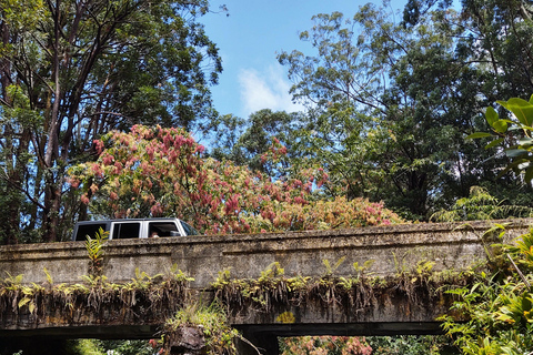 Maui: Halfway to Hana Black Sand Beach & Turtles Tour