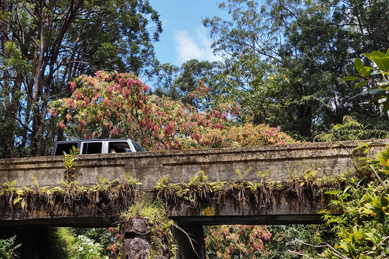 Maui: Halfway to Hana Black Sand Beach & Turtles Tour