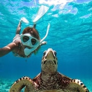 Bali: Blue Lagoon Snorkeling & Waterfalls Day Trip