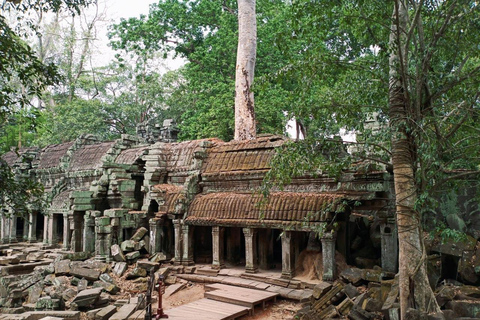 Angkor Wat, Angkor Thom, and Ta Prohm Day Trip with Sunset