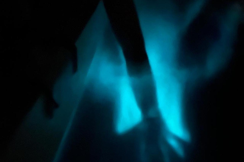 Bioluminescence in Puerto Escondido: Glow in the Manialtepec Lagoon Bioluminescence in Puerto Escondido: Glow in Laguna de Manialtepec