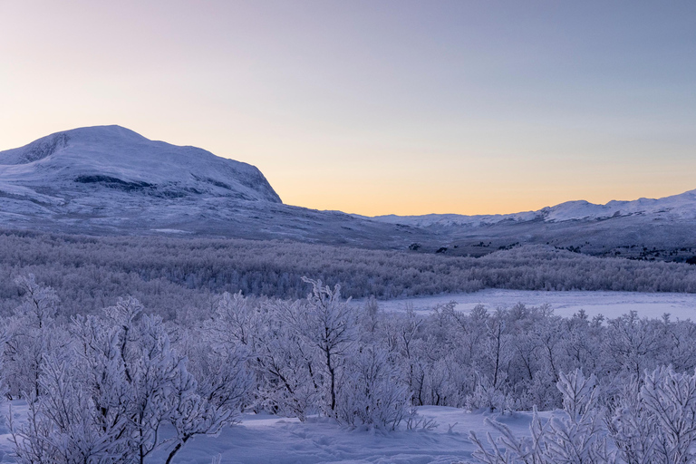 Abisko: Private Guided Hike in Abisko National Park