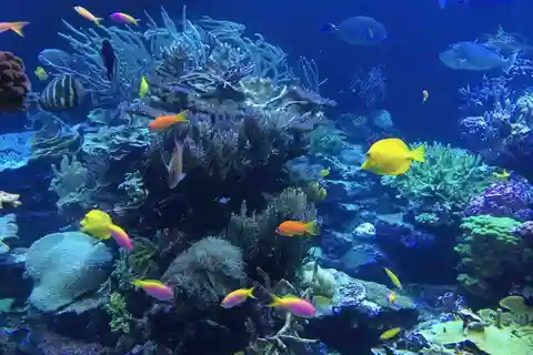 Au départ de Tulum : Excursion au Cenote Riviera Maya et plongée en apnée