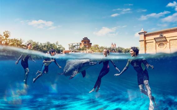 Atlantis Dubai: Begegnung mit Delfinen im tiefen Wasser