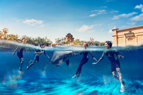 Dubai: Simma med delfiner på Atlantis vattenpark