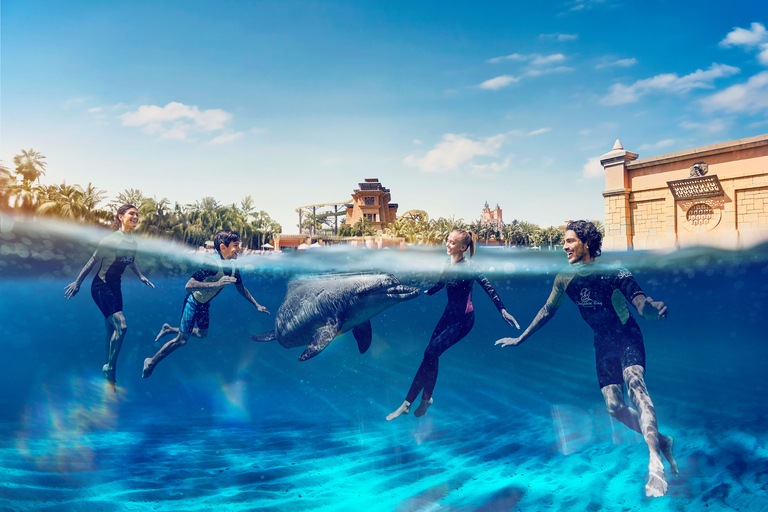 Dubai: Simma med delfiner på Atlantis vattenpark