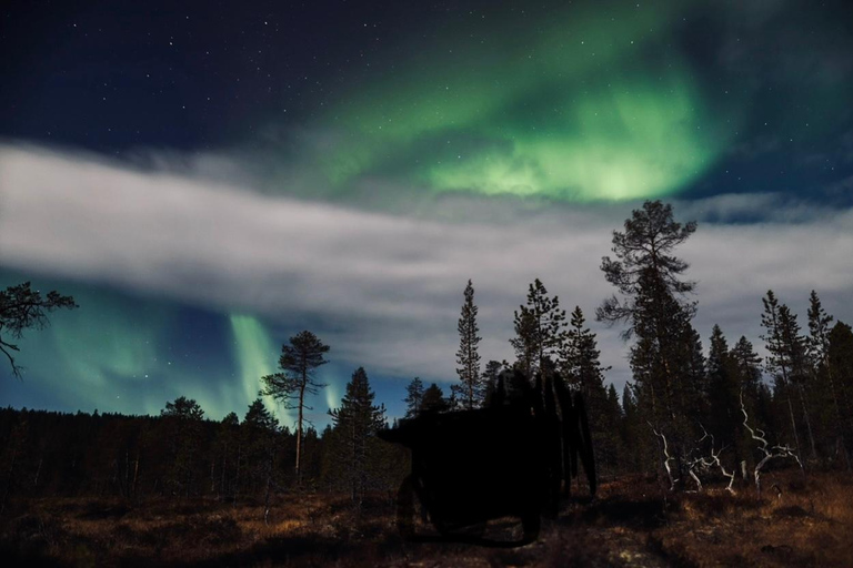 Saariselkä,Kakslauttanen: Aurora Hunting & Photography Tour. Private Aurora Hunting & Photography Tour By Minivan
