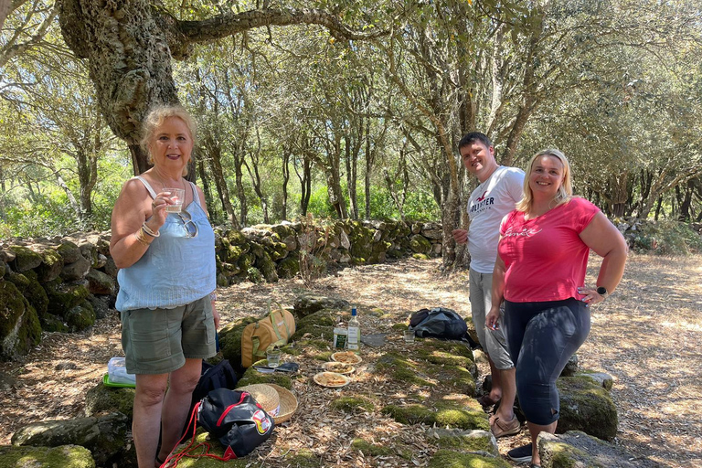 Cagliari: Nuraghe Barumini and Giara Park with Wine Tasting Nuraghe Barumini and Giara shared tour
