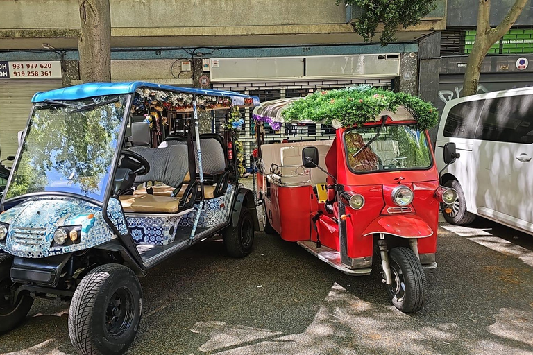 Lisbon: Multilingual Private TukTuk Tour with Live Guide Ultimate Lisbon & Belém Experience 04 hrs(Pick Up+Drop-off)*