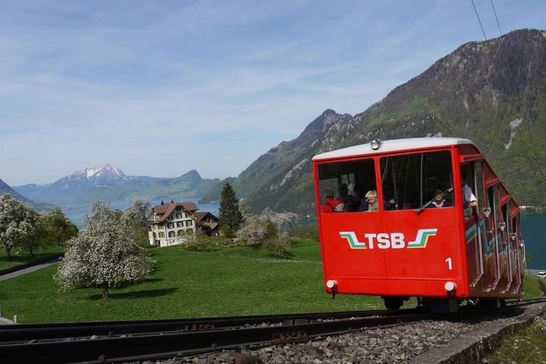 3 Privately Guided Swiss Travel Pass Train Tours from Zurich Group of 8 Excluding Train Tickets