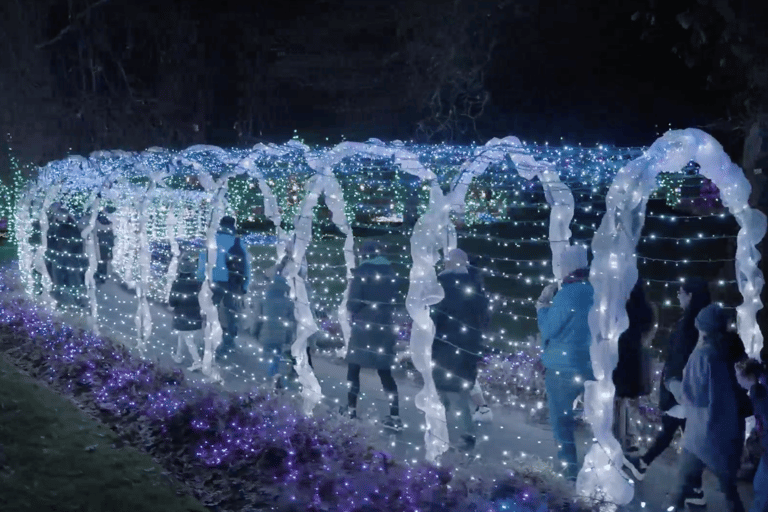 Vancouver : Tour en trolley des lumières de Noël avec karaoké