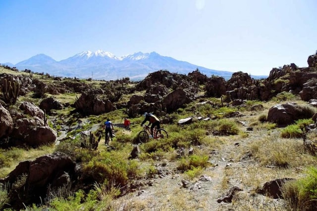 Arequipa: Mountain Bike Tour to Las Rocas Park