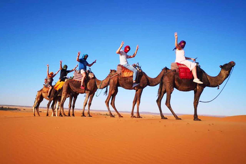 Tangier: Small Group Tour and camel ride