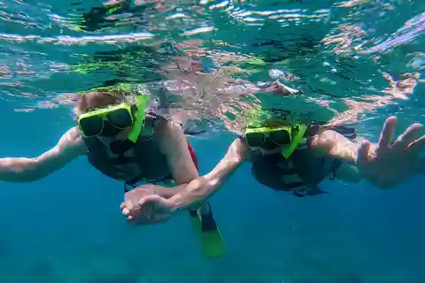 Vieques: VIP-snorkling - privat upplevelse