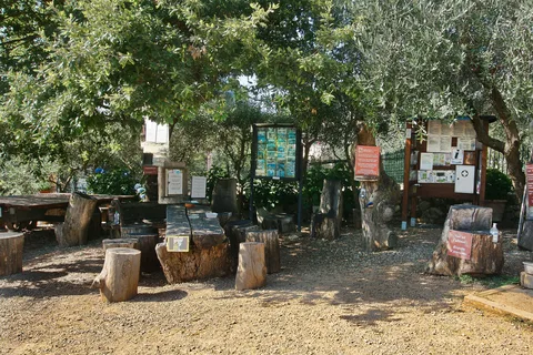 Siena: Caminata guiada de medio día a Monteriggioni