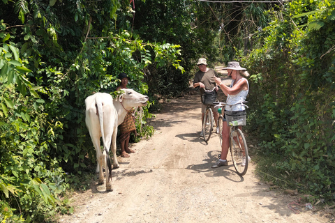 Village Bike Tour, Bamboo Train, Bat Cave & Local Lunch