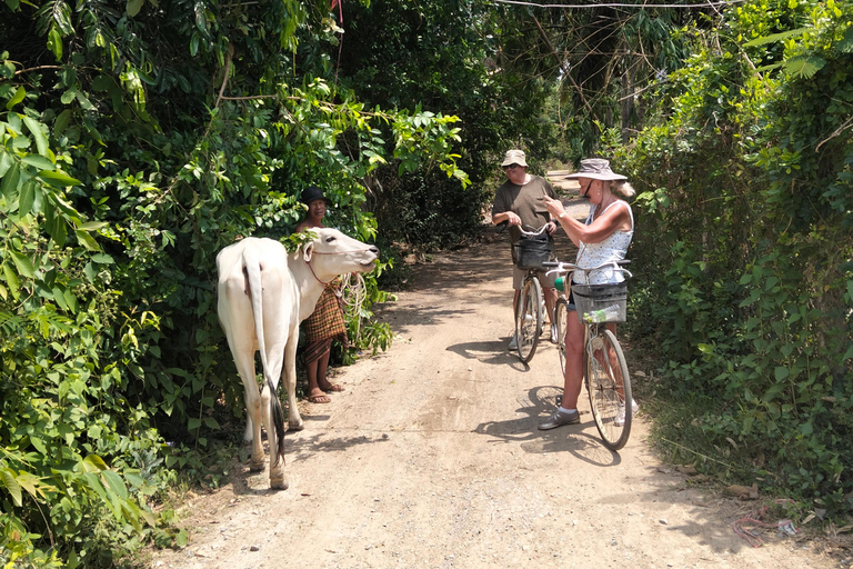 Village Bike Tour, Bamboo Train, Bat Cave & Local Lunch