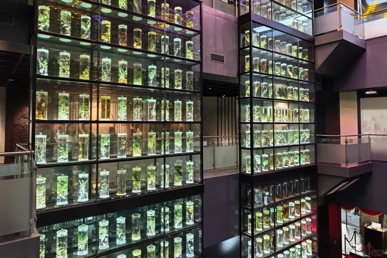 Guangzhou: Traditional Chinese Medicine Museum Admission