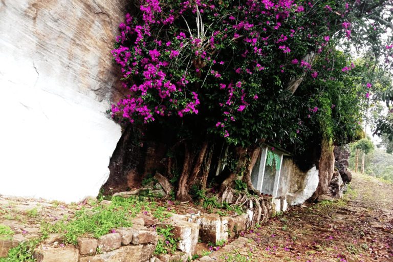 Pekoe Trail 6-9: Guided 6 Day Trail with Hotels & Transfers