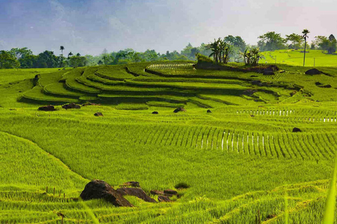 2 Day Trekking In Pu Luong Loop & Overnight At Homestay Start from Hanoi - Pu Luong