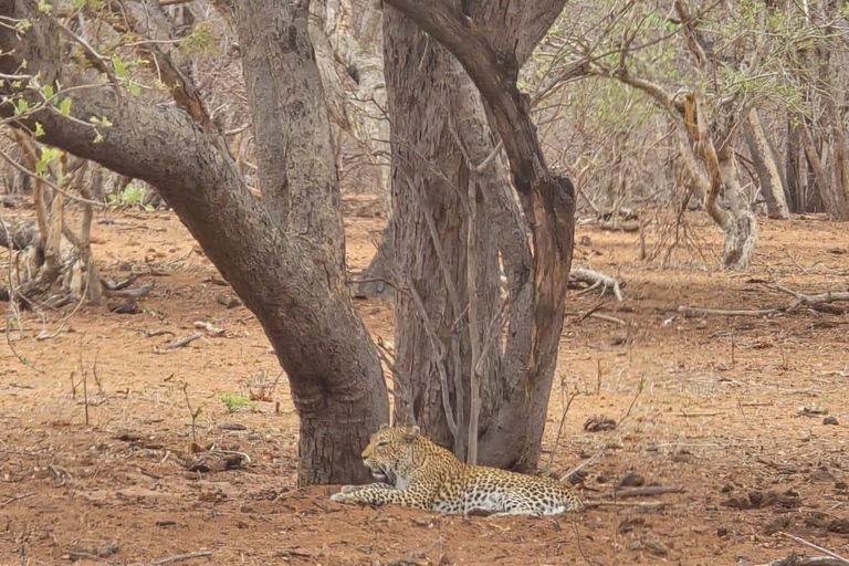 Kasane: 2-Day Chobe National Park Safari & River Cruise