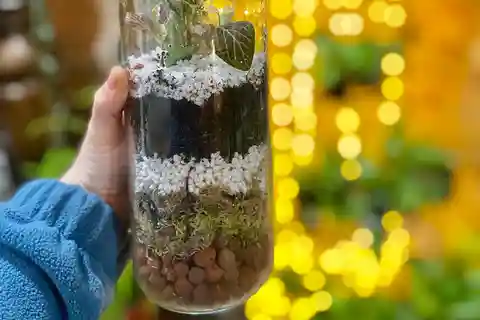 Make Your Own Terrarium in a houseplant paradise