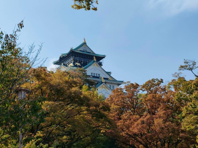 Visit Osaka Guided Walking Tour to Castle, Shinsekai, & Dotonbori in Osaka