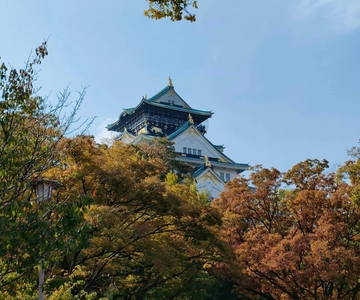 Osaka: Guided Walking Tour to Castle, Shinsekai, & Dotonbori
