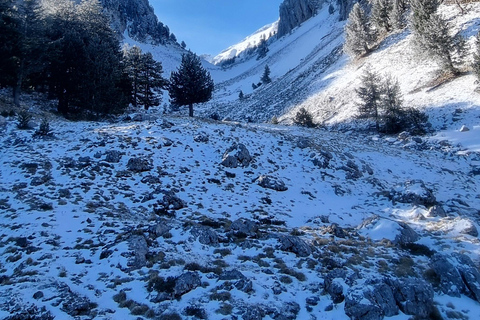 Mount Tomorri summit,hiking on the Holy Mountain
